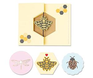 Sizzix Thinlits Die Set 16PK Summer Spinner Card de Lisa Jones | 665886 |Capítulo 2 2022, Plástico Papel, Multicolor, One Size