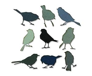 Sizzix Thinlits Pájaros Silueta Juego de Troqueles Intrincados por Tim Holtz para Manualidades de Naturaleza Elegante - 9 Piezas