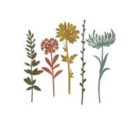 Sizzix Thinlits Troqueles 5PK Tallos de flores silvestres #1