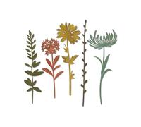 Sizzix Thinlits Troqueles 5PK Tallos de flores silvestres #1