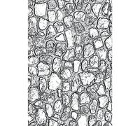 Sizzix Tim Holtz 665461 - Carpeta de grabado en relieve con textura 3D que se desvanece, multicolor, talla única