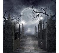 Sjoloon Prop JLT-10 - Telón de fondo de 3 x 3 m para estudio fotográfico, de vinilo, diseño de Halloween, luna, noche