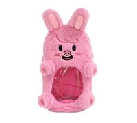 Sk-zoo Ita Bag con llavero 'STAY' 21 x 11 cm bolsa transparente Stray-Kids Display Bag Wolf Chan Jiniret Bbokari Stationery Case, Dwaekki, 21*11*4 cm