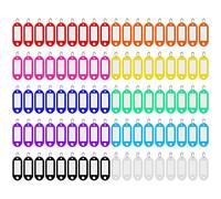 Skaaisont 90 llaveros de plástico, 10 colores, puerta de etiqueta para el hogar, se puede utilizar marcar varios artículos por ejemplo,nombre animal