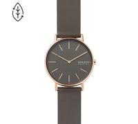 Skagen Skagen Reloj SKW2794