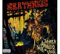 Skatenigs - What a Mangled Web We Leave