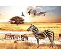 skdhlifpj Papel Pintado Fotográfico 3d Cebra De La Sabana Africana 300cmx210cm Animales De La Sabana Tropical: Cebra En Blanco Y Negro Tejido No Tejido Decoración Paredes Fotomurales