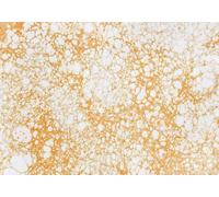 skdhlifpj Papel Pintado Geométrico 3d Tejido No Tejido Fotográfico Fondo De Pared Moderno Y Abstracto Con Motivos Geométricos Dorados 400cmx280cm Madera Rayas Fotomurales