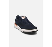 Skechers Corliss - Dorset 44 Azul