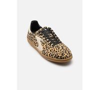 Skechers Zapatillas deportivas bajas HOTSHOT capuchino/moca/negro/blanco talla 40