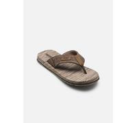 Skechers Quill - Sea Side 42 Marrón