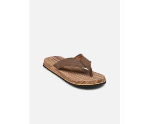 Skechers Tantric - Fritz 41 Marrón