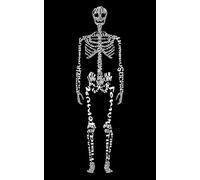 Skeleton Anatomy 5x8 Notebook: Lined Notebook for Medical Students, Doctors, Nurses & Radiographers: Perfect 5x8 Anatomy-Themed Notebook for Note-Taking, Studying & Gifts for Healthcare Professionals