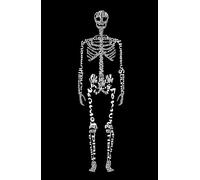 Skeleton Anatomy 5x8 Notebook: Lined Notebook for Medical Students, Doctors, Nurses & Radiographers: Perfect 5x8 Anatomy-Themed Notebook for Note-Taking, Studying & Gifts for Healthcare Professionals
