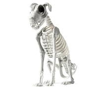 Skeleton Dog Statue, Halloween Dog Decor, Puppy Skeleton Sculpture, Bone Art Ornaments, Haunted House Supplies, Realistic Halloween Skeleton Dog Statue for Haunted Houses