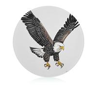 Sketch of Bald Eagle Tabla de cortar de buceo, bloque redondo de vidrio templado, tablas de cortar de cocina únicas para pizza, verduras, frutas, queso y embutidos