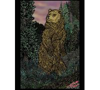 Sketchbook with California Grizzly Bear Softcover, 8.5 X 11 in, 120 blank pages. Hidden works of art inside by Jeremy J. Brooks