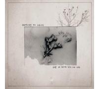 Sketches for Albinos - Days Of Being Wild and Kind