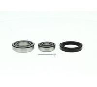SKF Cojinete de rueda para FORD: Escort, Transit/Tourneo (Ref: VKBA 523)