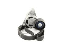 SKF Juego de correas auxiliares servicios para NISSAN: Interstar & RENAULT: Master, Trafic & OPEL: Vivaro, Movano & VAUXHALL: Movano (Ref: VKMA 36103)