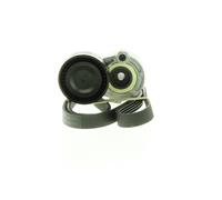 SKF Juego de correas auxiliares servicios para RENAULT: Clio, Kangoo, Mégane, Scénic, Modus, Thalia & NISSAN: Micra, Almera (Ref: VKMA 36058)