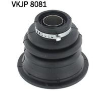SKF JUEGO De Faldones De Eje Delantero Para Renault Megane Scenic JA0/1
