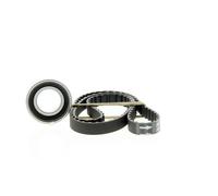 SKF Kit de distribución para FIAT: Palio, Punto, Siena, Strada & LANCIA: Ypsilon (Ref: VKMA 02201)