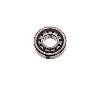 SKF NJ 204 ECP/C3 Rodamiento de rodillos radiales cilíndricos