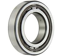 SKF NJ 211 ECP - Rodamiento de rodillo radial cilíndrico, 55 ID, acero para rodamientos