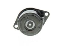 SKF Polea tensora, correa auxiliar servicios para VOLKSWAGEN: Sharan, Golf, Passat, Transporter, Polo, Golf Cabriolet, Caddy, Vento (Ref: VKM 31030)