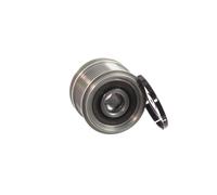 SKF VKM 03829 Rueda libre de alternador