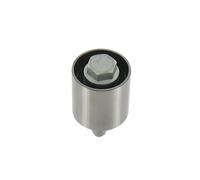 SKF VKM 25124 Kit Polea Loca de Distribución