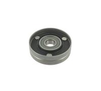SKF VKM 31017 Kit Polea Loca Multi-V