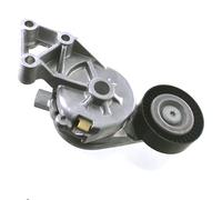 SKF Polea tensora VKM 31019 – Tensor de correa poli V, Kit Multi-V