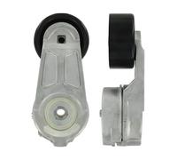 SKF VKM 31066 Kit Tensor Multi-V