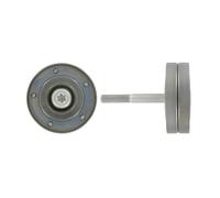 SKF VKM 31221 Kit Polea Loca Multi-V