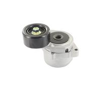 SKF Polea tensora VKM 63010 – Correa poli V