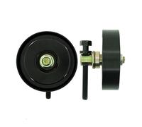 SKF Polea inversión/guía VKM 64016 para KIA Carnival y Sedona – Correa poli V