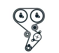 Kit de distribución + bomba de agua Chapa de acero VKMC 06020 SKF para RENAULT