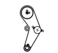 Bomba de agua + juego de correas de distribución SKF VKMC 06415