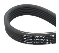 SKF VKMV 6DK1195 Correa Multi-V
