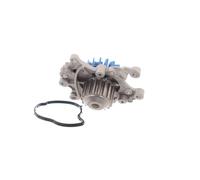 SKF VKPC 83319 Bomba de agua