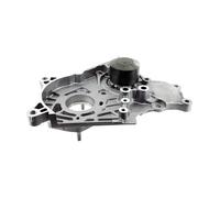 SKF VKPC 91815 Kit Bomba de Aqua