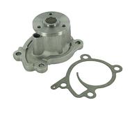 SKF VKPC 92939 Kit Bomba de aqua