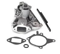 SKF VKPC 94617 Kit Bomba de Aqua