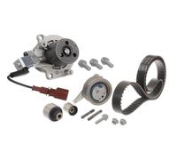 SKF Wasserpumpe + Zahnriemensatz VKMC01278