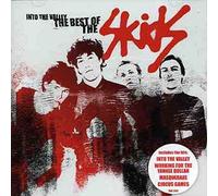 Skids - The Best Of The Skids