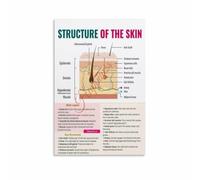 Skin Tissue Diagram Poster for Cosmetology Classroom and Skincare Learning Space