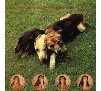 Skin - World of Skin