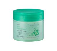 SKINFOOD - Basil Teatreecinic Cooling Pad - 180g(70 pads)
